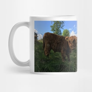 Scottish Highland Cattle Calf 1479 Mug